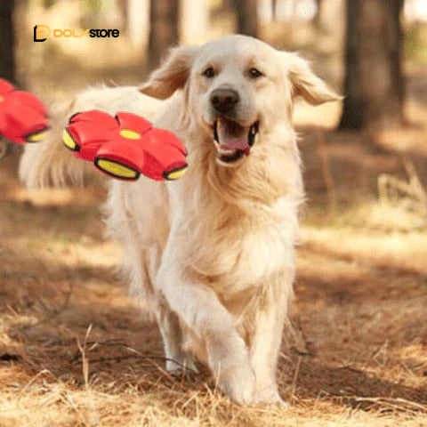 Brinquedo Voador para Cães com Função 2 em 1 - SkyHound- Atividade saudável para os pets