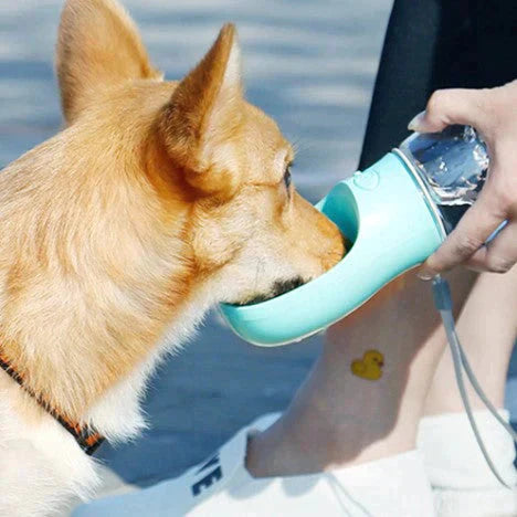 Garrafa Portátil para Pets 4 em 1 - Water Pet, Super útil para seu bichinho ficar bem  hidratado e alimentado